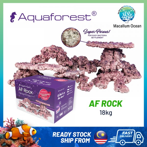 AQUAFOREST AF ROCK - 18KG