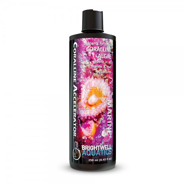 BRIGHTWELL AQUATICS CORALLINE ACCELERATOR - (250ML) (500ML)